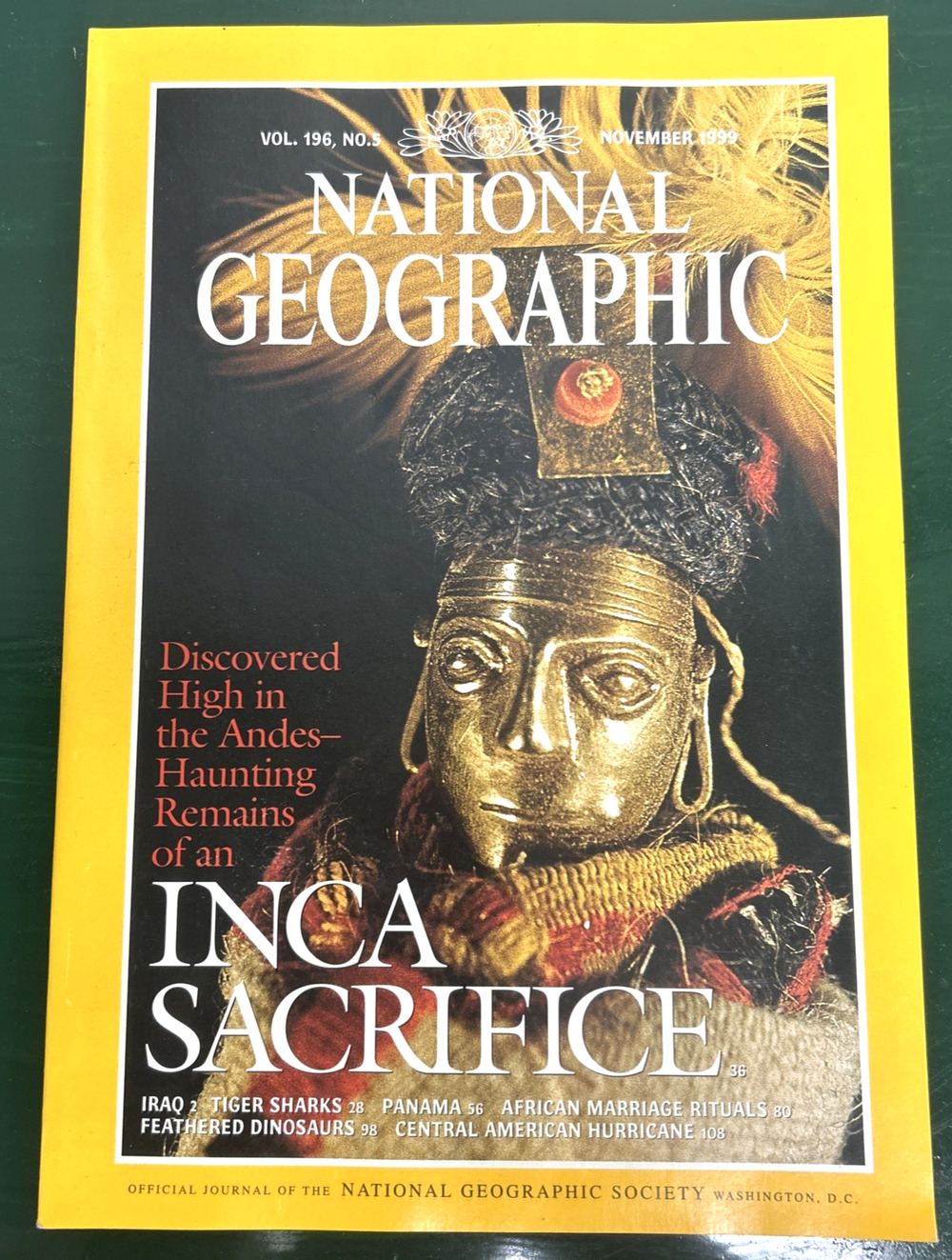 National Geographic Magazine November 1999 Inca Sacrifice Panama Dinosaurs Shark